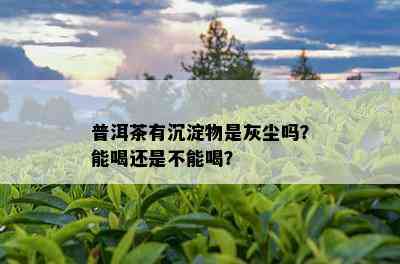 普洱茶有沉淀物是灰尘吗？能喝还是不能喝？