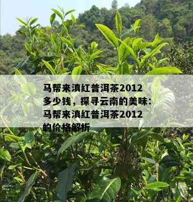 马帮来滇红普洱茶2012多少钱，探寻云南的美味：马帮来滇红普洱茶2012的价格解析