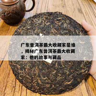 广东普洱茶更大收藏家是谁，揭秘广东普洱茶更大收藏家：他的故事与藏品