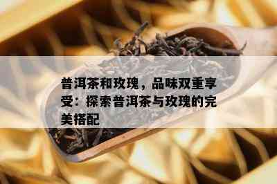 普洱茶和玫瑰，品味双重享受：探索普洱茶与玫瑰的完美搭配