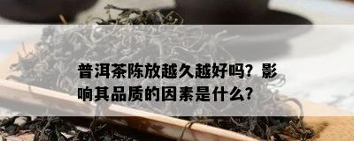 普洱茶陈放越久越好吗？影响其品质的因素是什么？