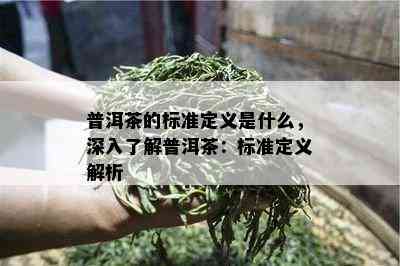 普洱茶的标准定义是什么，深入熟悉普洱茶：标准定义解析