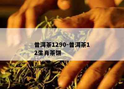 普洱茶1290-普洱茶12生肖茶饼