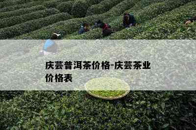 庆芸普洱茶价格-庆芸茶业价格表