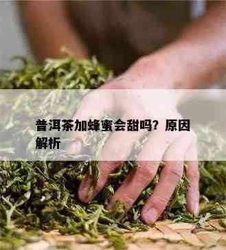 普洱茶加蜂蜜会甜吗？起因解析