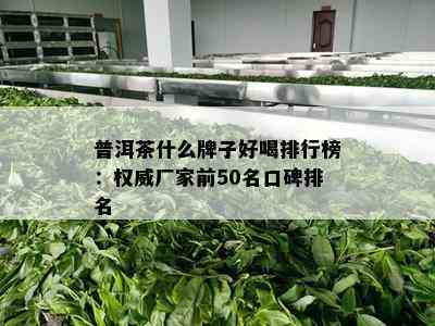 普洱茶什么牌子好喝排行榜：权威厂家前50名口碑排名