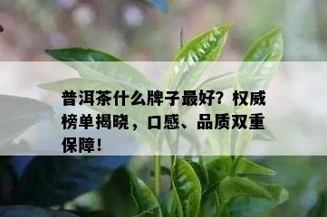 普洱茶什么牌子更好？权威榜单揭晓，口感、品质双重保障！