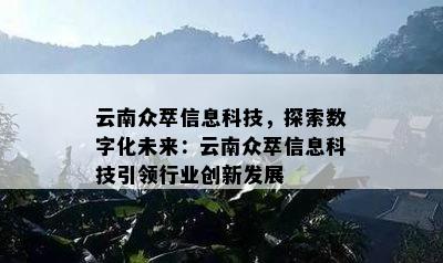 云南众萃信息科技，探索数字化未来：云南众萃信息科技引领行业创新发展