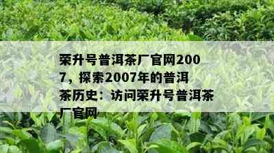 荣升号普洱茶厂官网2007，探索2007年的普洱茶历史：访问荣升号普洱茶厂官网