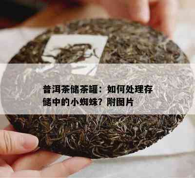 普洱茶储茶罐：如何处理存储中的小蜘蛛？附图片