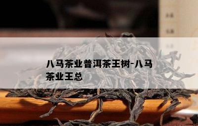 八马茶业普洱茶王树-八马茶业王总