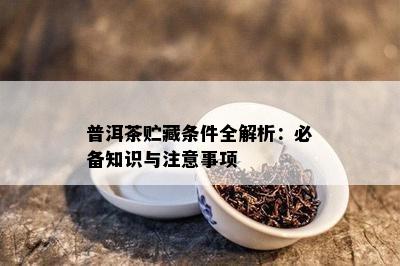 普洱茶贮藏条件全解析：必备知识与留意事项