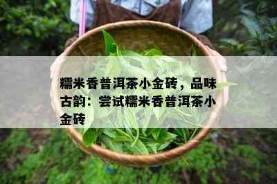 糯米香普洱茶小金砖，品味古韵：尝试糯米香普洱茶小金砖