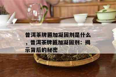 普洱茶牌匾加凝固剂是什么，普洱茶牌匾加凝固剂：揭示背后的秘密