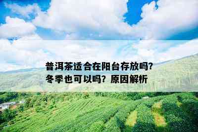 普洱茶适合在阳台存放吗？冬季也可以吗？起因解析