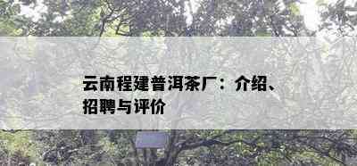 云南程建普洱茶厂：介绍、招聘与评价