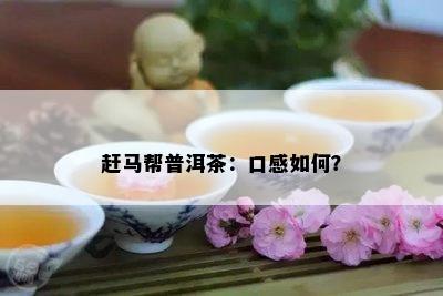 赶马帮普洱茶：口感如何？