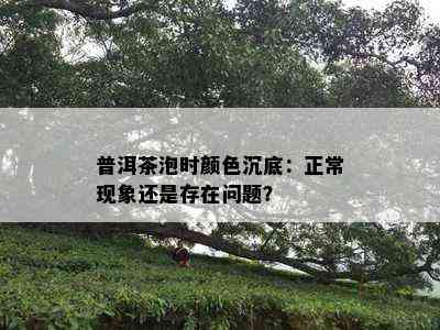 普洱茶泡时颜色沉底：正常现象还是存在问题？