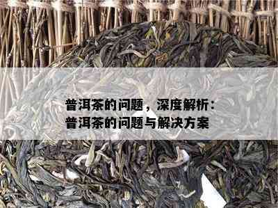 普洱茶的疑问，深度解析：普洱茶的疑问与解决方案