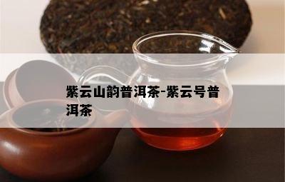 紫云山韵普洱茶-紫云号普洱茶