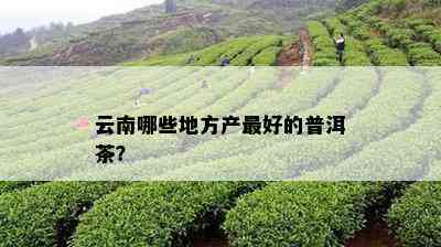 云南哪些地方产更好的普洱茶？