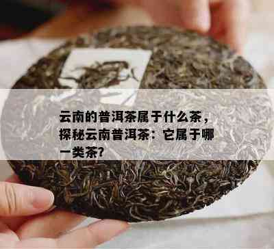 云南的普洱茶属于什么茶，探秘云南普洱茶：它属于哪一类茶？