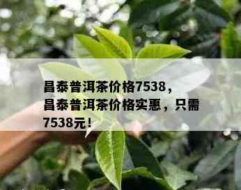 昌泰普洱茶价格7538，昌泰普洱茶价格实惠，只需7538元！