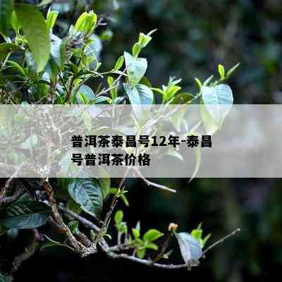 普洱茶泰昌号12年-泰昌号普洱茶价格