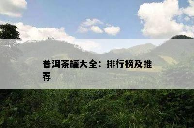 普洱茶罐大全：排行榜及推荐