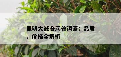 昆明大诚合润普洱茶：品质、价格全解析