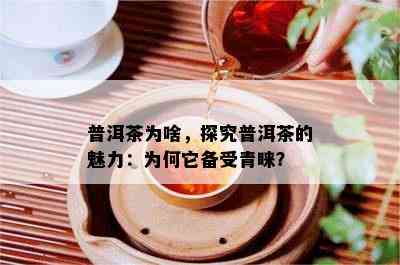 普洱茶为啥，探究普洱茶的魅力：为何它备受青睐？