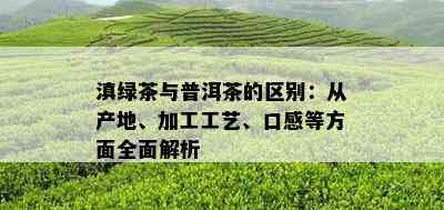 滇绿茶与普洱茶的区别：从产地、加工工艺、口感等方面全面解析