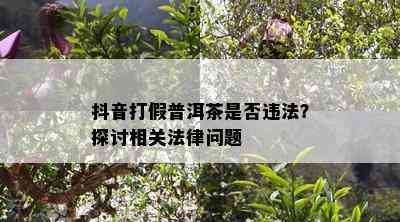 抖音打假普洱茶是否违法？探讨相关法律问题