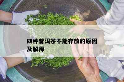 四种普洱茶不能存放的起因及解释