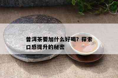 普洱茶要加什么好喝？探索口感提升的秘密