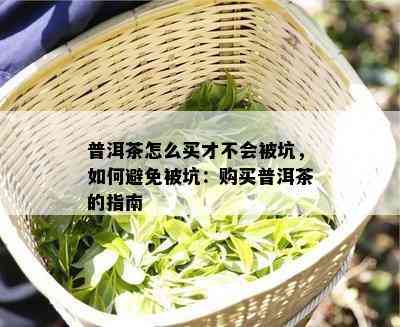 普洱茶怎么买才不会被坑，如何避免被坑：购买普洱茶的指南