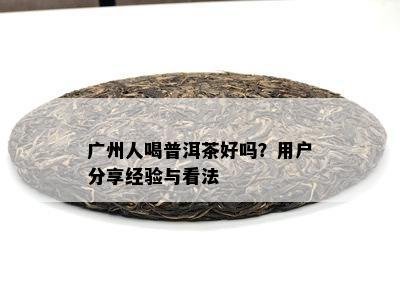 广州人喝普洱茶好吗？用户分享经验与看法