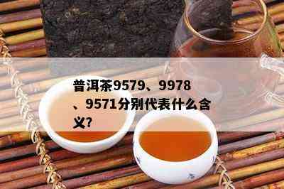 普洱茶9579、9978、9571分别代表什么含义？