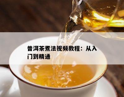 普洱茶煮法视频教程：从入门到精通