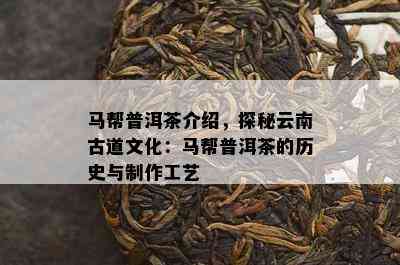 马帮普洱茶介绍，探秘云南古道文化：马帮普洱茶的历史与制作工艺