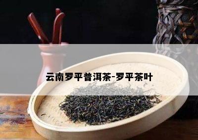 云南罗平普洱茶-罗平茶叶