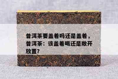 普洱茶要盖着吗还是盖着，普洱茶：该盖着喝还是敞开放置？