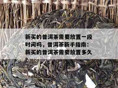 新买的普洱茶需要放置一段时间吗，普洱茶新手指南：新买的普洱茶需要放置多久？