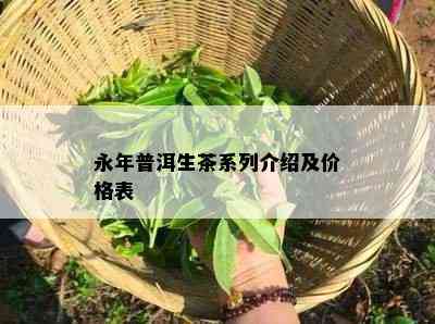 永年普洱生茶系列介绍及价格表