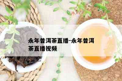 永年普洱茶直播-永年普洱茶直播视频