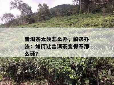 普洱茶太硬怎么办，解决办法：如何让普洱茶变得不那么硬？