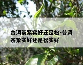 普洱茶紧实好还是松-普洱茶紧实好还是松实好