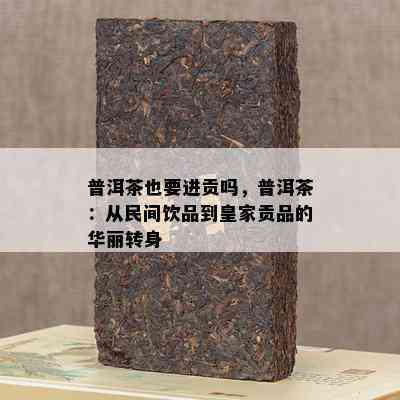 普洱茶也要进贡吗，普洱茶：从民间饮品到皇家贡品的华丽转身