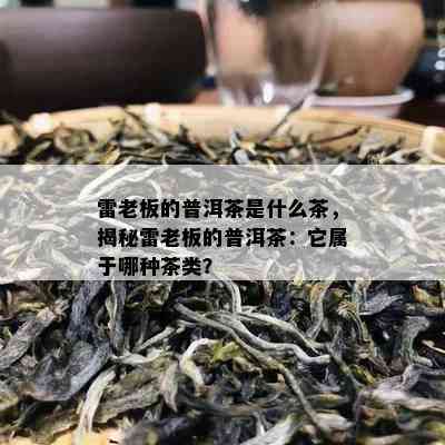 雷老板的普洱茶是什么茶，揭秘雷老板的普洱茶：它属于哪种茶类？