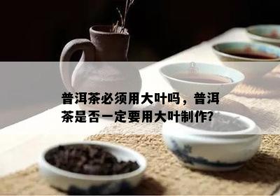 普洱茶必须用大叶吗，普洱茶是否一定要用大叶制作？